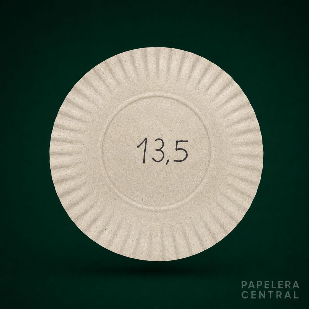 bandcarton-gris-n-13-12-x-100-x900-61