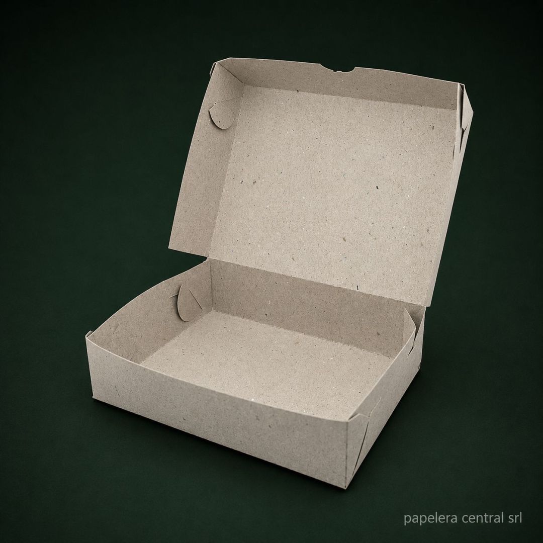 cajas-plomo-grande-gris-x-100u-1471