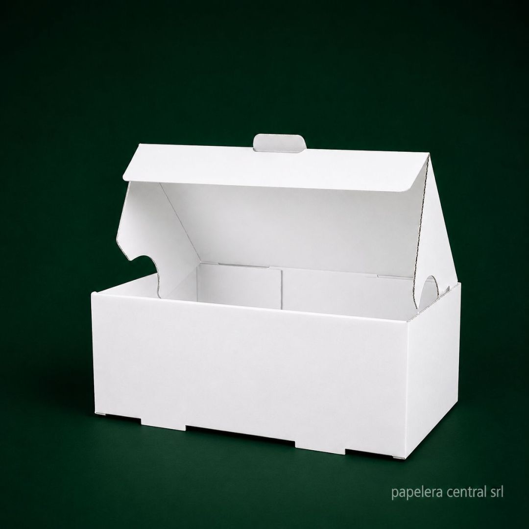 caja-microcdelivery-34-bca-250x140x100-x-u-453