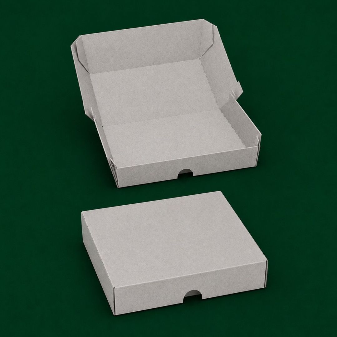 cajas-pravioles-12kg-1-plancha-x-100-438