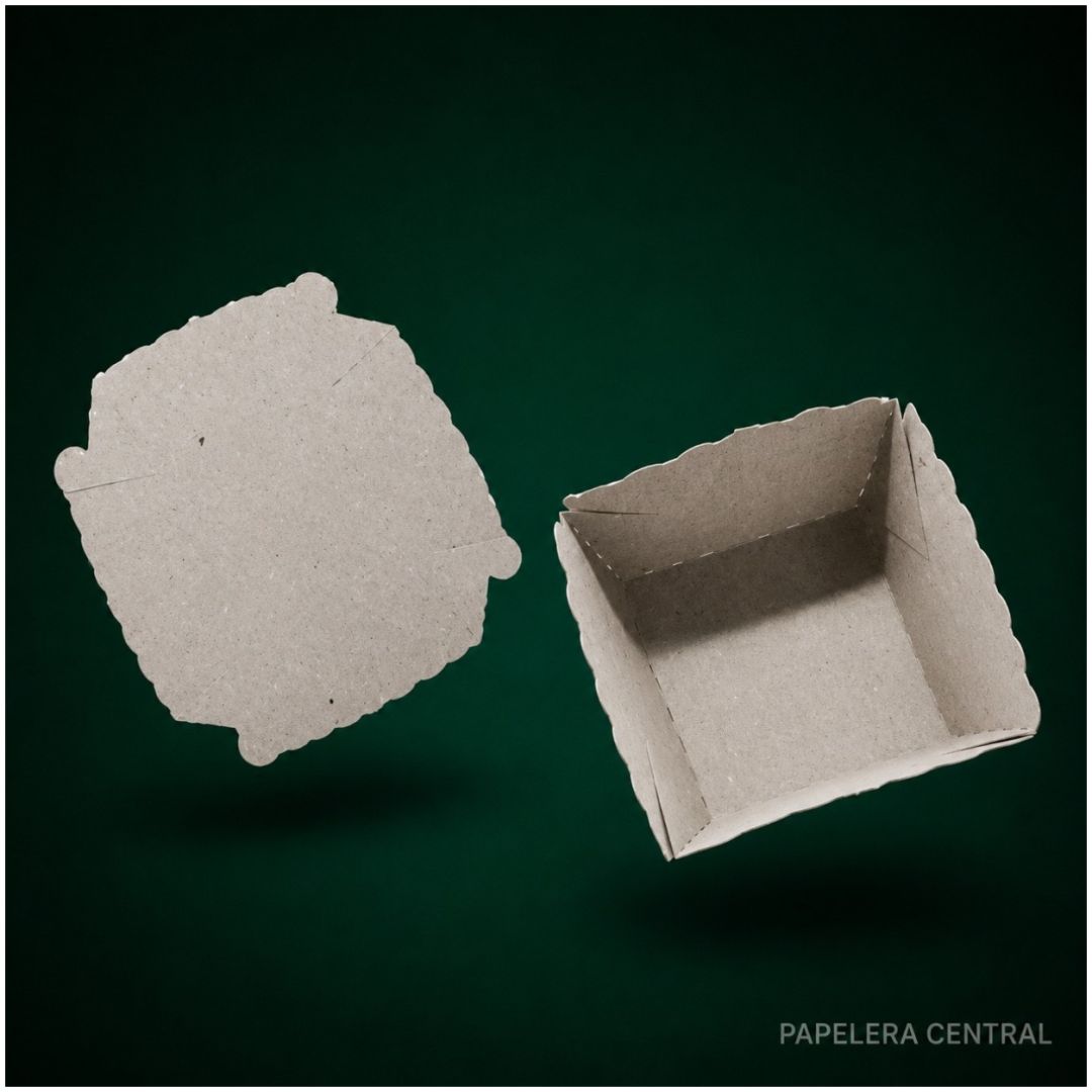 noquera-gris-n-0-x-100u8x8x5-448