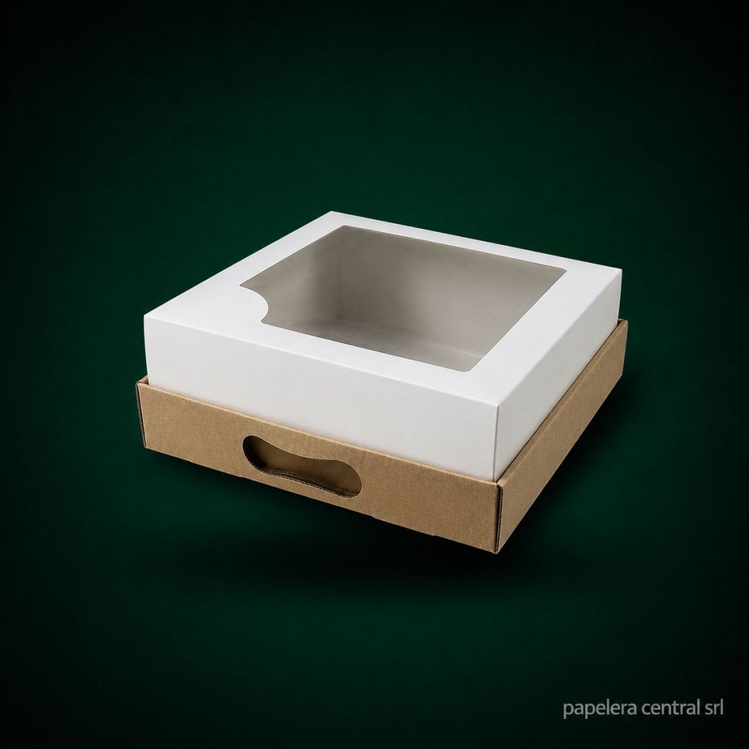 caja-cvisor-ptorta-baja-25x25x10-x-ux25-3050