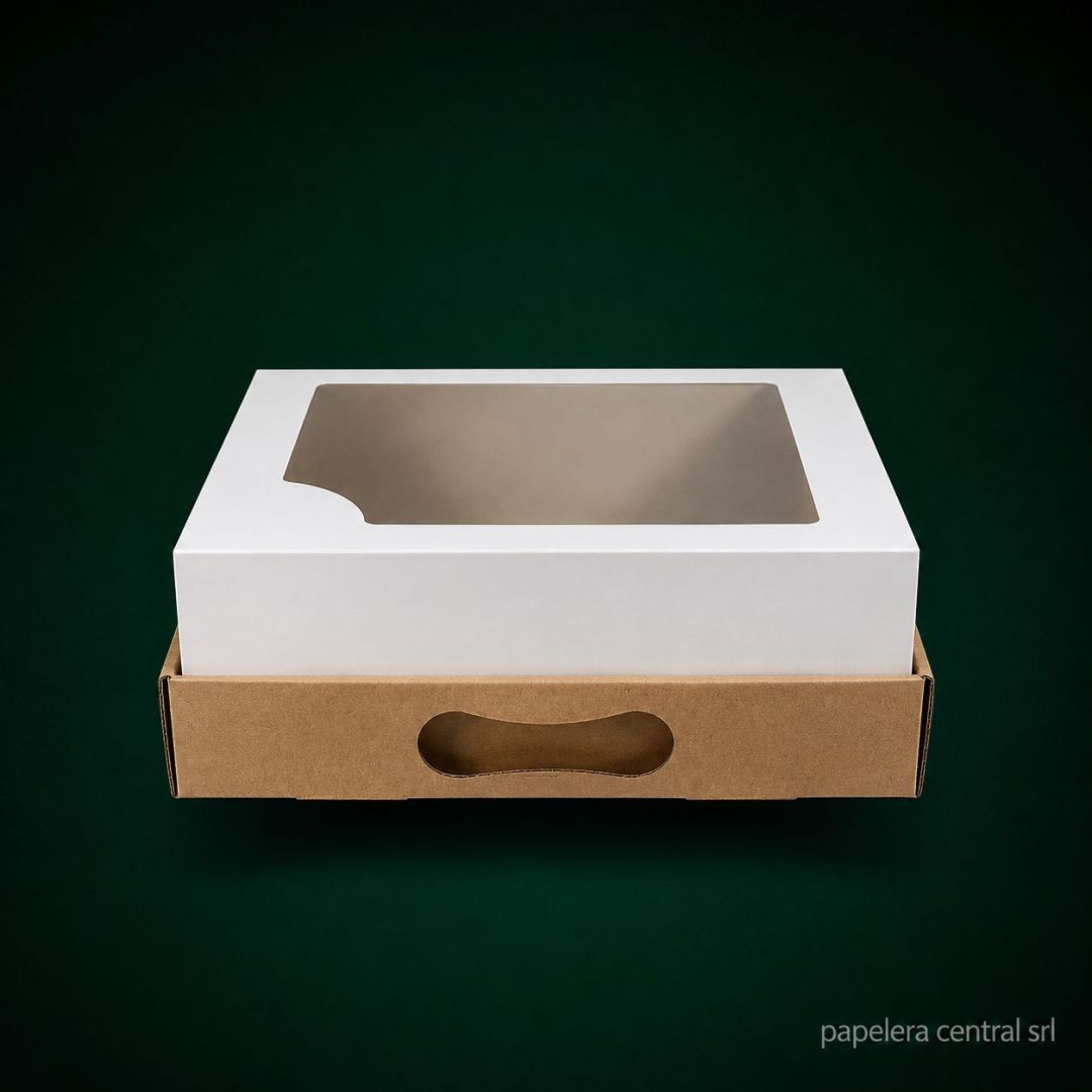 caja-cvisor-ptorta-baja-25x25x10-x-ux25-3050